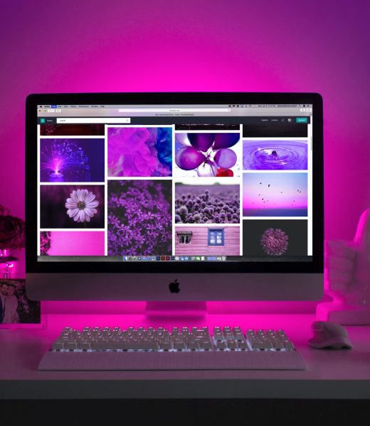 web-dev